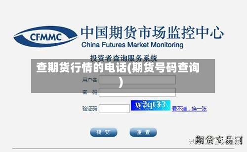 查期货行情的电话(期货号码查询)-第3张图片