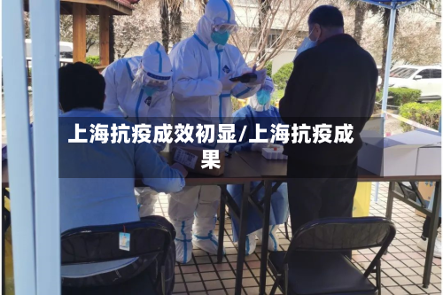 上海抗疫成效初显/上海抗疫成果
