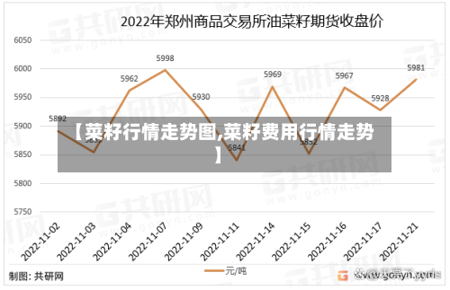 【菜籽行情走势图,菜籽费用行情走势】-第2张图片