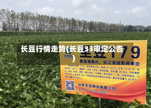 长豆行情走势(长豆33审定公告)-第3张图片