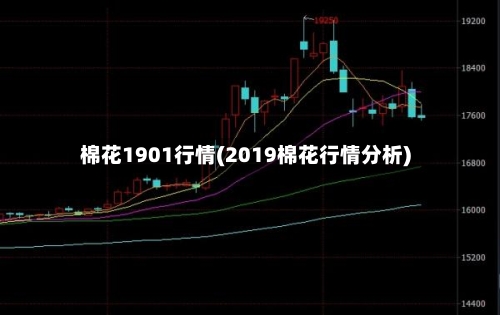 棉花1901行情(2019棉花行情分析)-第2张图片