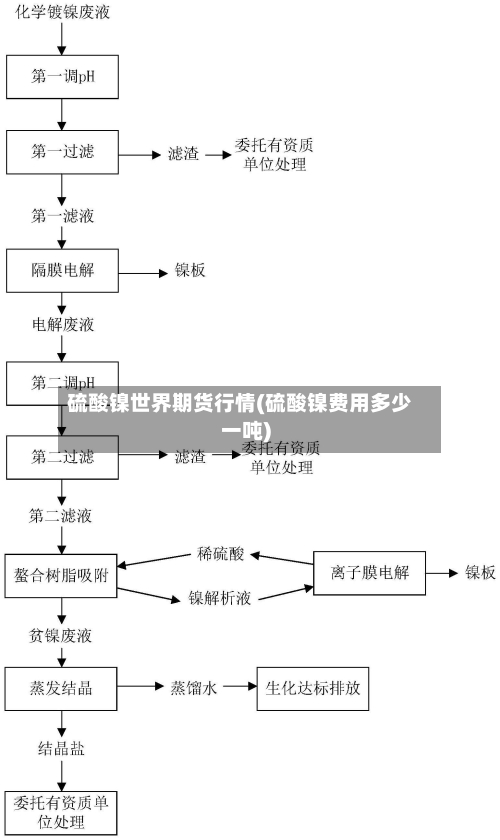 硫酸镍世界期货行情(硫酸镍费用多少一吨)