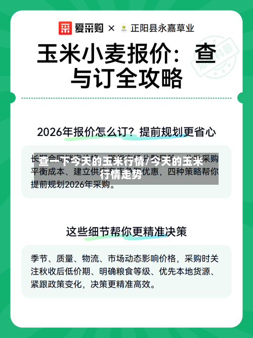 查一下今天的玉米行情/今天的玉米行情走势