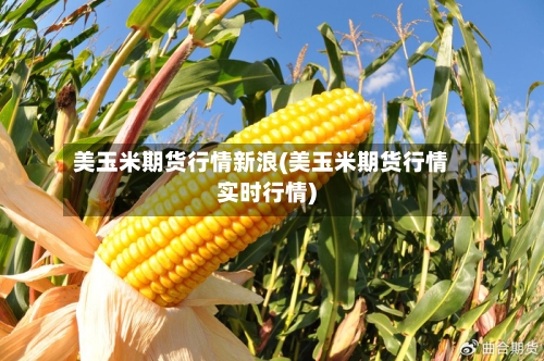美玉米期货行情新浪(美玉米期货行情实时行情)