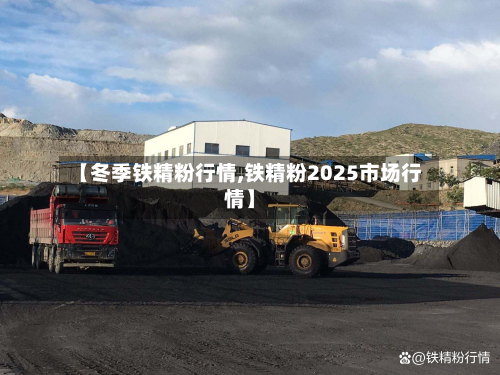 【冬季铁精粉行情,铁精粉2025市场行情】