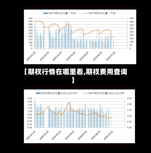 【期权行情在哪里看,期权费用查询】-第3张图片