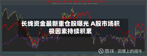 长线资金最新重仓股曝光 A股市场积极因素持续积累-第3张图片