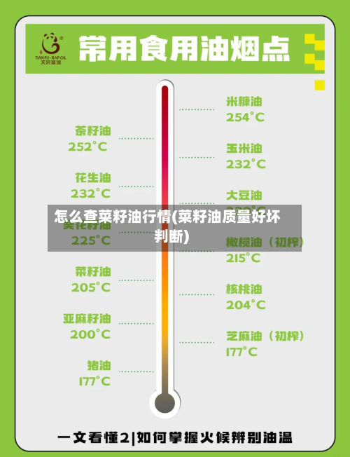 怎么查菜籽油行情(菜籽油质量好坏判断)
