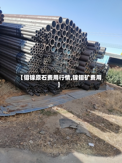 【钼镍原石费用行情,镍钼矿费用】-第2张图片