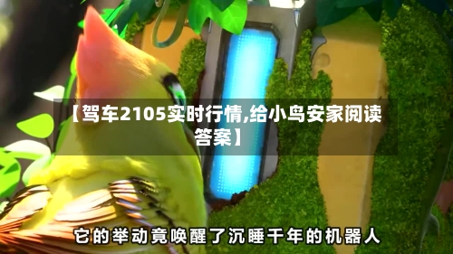 【驾车2105实时行情,给小鸟安家阅读答案】