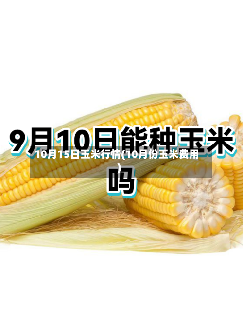 10月15日玉米行情(10月份玉米费用)