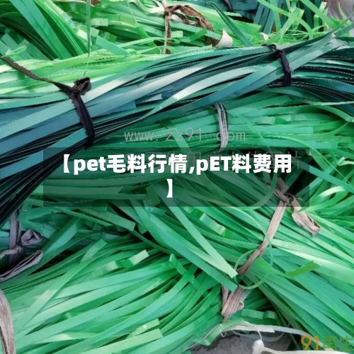 【pet毛料行情,pET料费用】-第2张图片