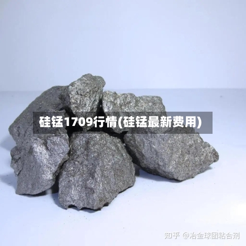 硅锰1709行情(硅锰最新费用)-第2张图片
