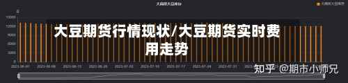 大豆期货行情现状/大豆期货实时费用走势-第2张图片