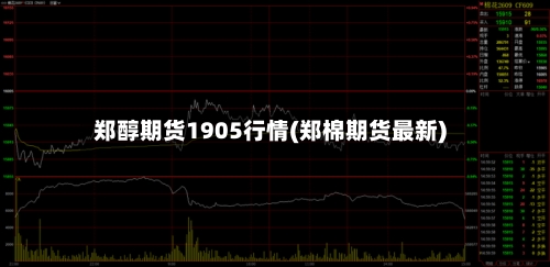 郑醇期货1905行情(郑棉期货最新)