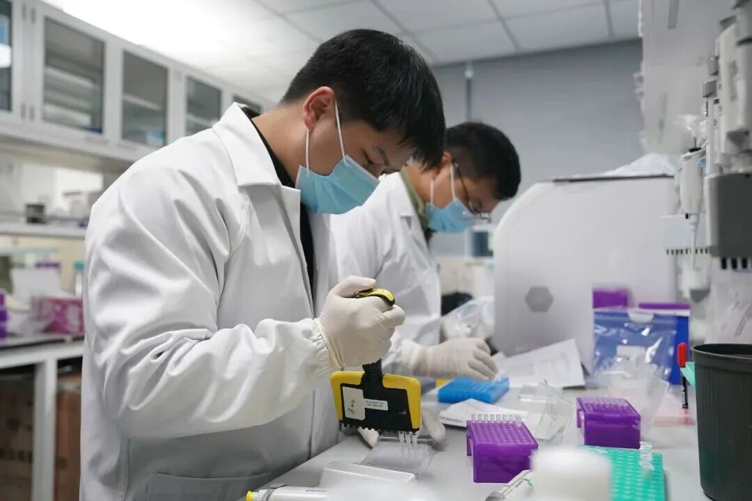 猴子价格涨疯了	，20万一只还抢不到？可是峨眉山上不是超级多吗？